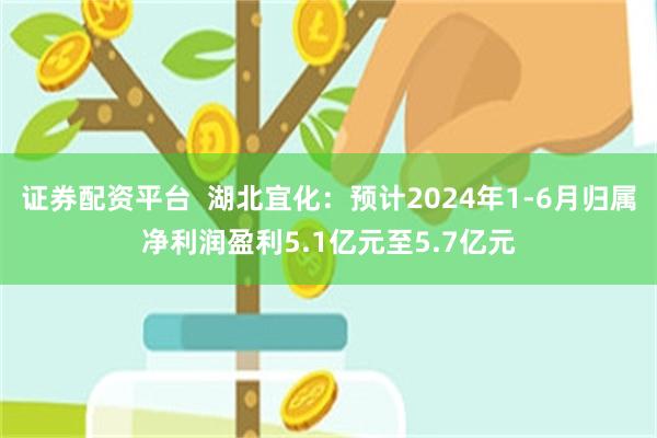 证券配资平台  湖北宜化：预计2024年1-6月归属净利润盈